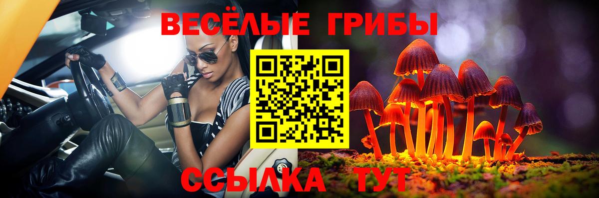 Псилоцибиновые грибы мухоморы Кинель
